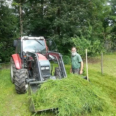 Lejlighed Bucherhof