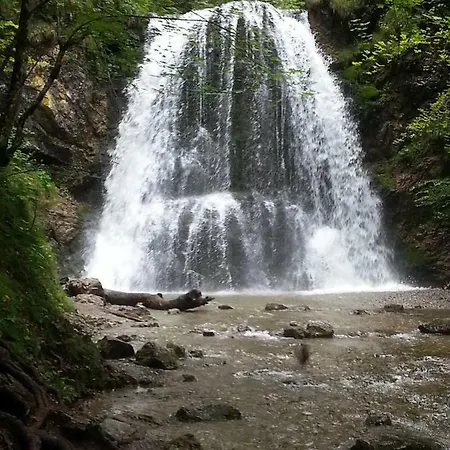 Bucherhof *