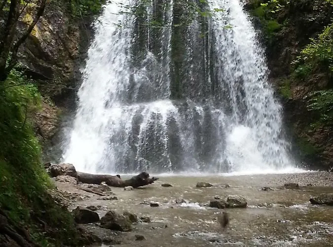 Bucherhof *