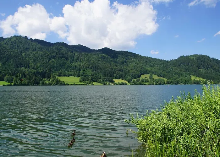 Bucherhof *